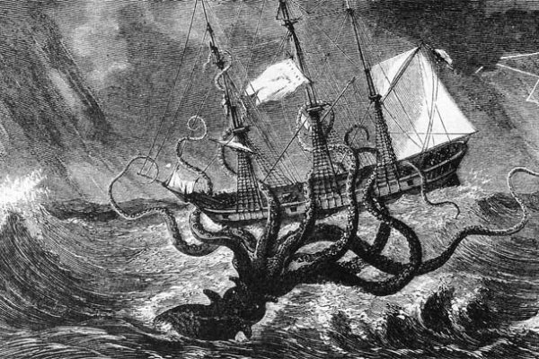 Kraken link