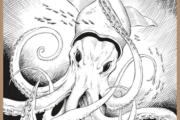 Kraken что это за сайт