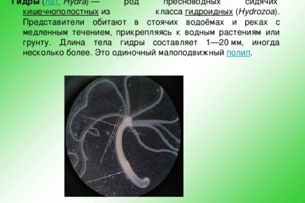 Ссылка на кракен тор kr2web in