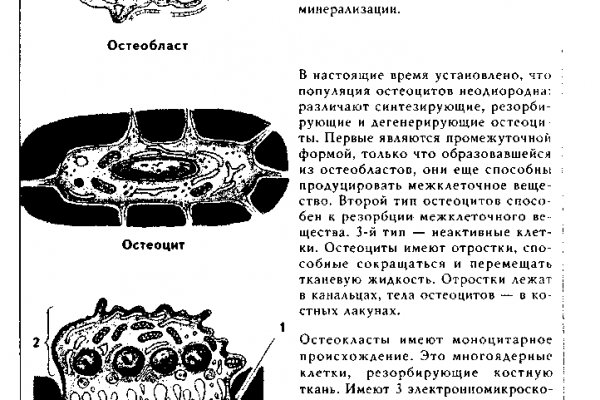 Как войти в даркнет