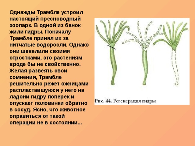 Кракен онион рабочая ссылка