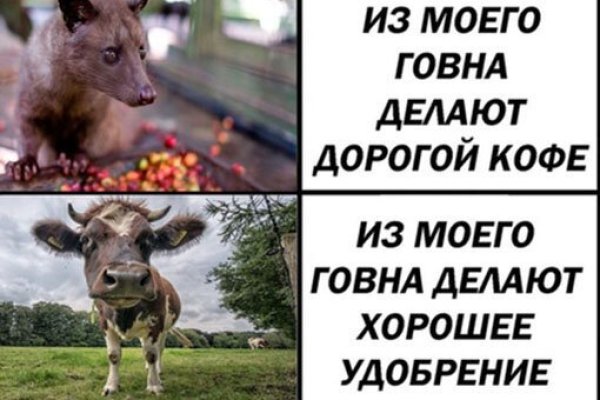 Что такое кракен тор